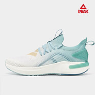 匹克態(tài)極5.0跑步鞋2024男鞋輕便緩震回彈耐磨專(zhuān)業(yè)跑鞋體育中考運動(dòng)鞋 灰青綠（男款） 39