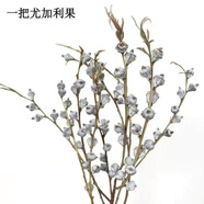 干鮮花真花ins風(fēng)干花花束家居擺設(shè)小清新客廳插花網(wǎng)紅裝飾品滿天星永生花 秋穎 一束尤加利果