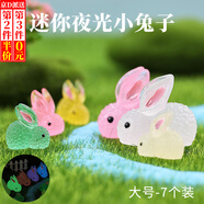 東之天地 微景觀擺件可愛(ài)動(dòng)物卡通發(fā)光彩色小兔子夜光萌兔植物樹脂擺件 七個(gè)裝【大號(hào)每種顏色各一個(gè)】