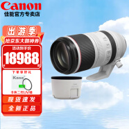 佳能（Canon） RF全画幅专业微单变焦镜头适用于R3 R5 R6R 62R7R8R10R50RP RF100-500mm F4.5-7.1 L IS 官方标配 【赠摄影教程+后期软件+延保】