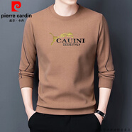 皮爾卡丹（pierre cardin）品牌純棉男士長(zhǎng)袖t恤圓領(lǐng)衛(wèi)衣春新款打底衫秋衣男裝上衣潮流T內(nèi)搭 【ZMN薄款】78821駝色 175/XL 建議140-155斤