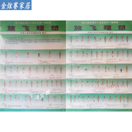 第九套廣播體操貼畫掛圖第三3套九9套廣播體操掛圖圖解七彩陽光希 放飛理想