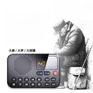樂廷（Rolton）插卡音箱迷你藍牙小音響聽戲機 老人收音機 黑色