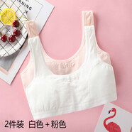 青春期女生內(nèi)衣美背發(fā)育期中小學(xué)生初中高中生女童發(fā)育期小背心文胸歲大童初中高中小學(xué)生少女內(nèi)衣 女生內(nèi)衣高中生內(nèi)衣初中生內(nèi)衣7305白色+蝦粉 85A(建議85-98斤）