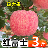 陜西紅富士蘋果新鮮水果特產(chǎn)蘋果脆甜大個丑蘋果冰糖心當季水果 嘗鮮3斤裝中大果（75-80mm）