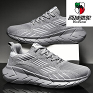 西域駱駝（VANCAMEL）大碼男鞋春秋季夏季新款網(wǎng)面透氣運動(dòng)休閑潮流學(xué)生男士跑步鞋加絨 灰色SD【單鞋G610】 42