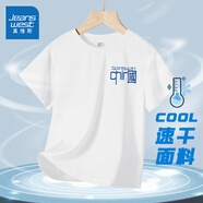 真維斯童裝男童短袖t恤2025新款兒童夏季冰絲上衣男孩速干網(wǎng)眼衣服運(yùn)動(dòng)夏裝 【冰絲款】白/J藍(lán)中國(guó)K 160