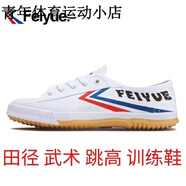 飛躍（Feiyue）帆布鞋男女小白鞋田徑運動中考體育訓練鞋百事聯名學生休閑鞋 1-501白 41