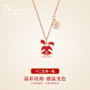 柯芙尼 S925銀兔年十二生肖項鏈女生本命年鎖骨鏈生日情人節禮物送女友 S925銀&開(kāi)運兔-情人節禮物