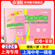2025年領(lǐng)先一步上海中考一模卷英語數(shù)學物理化學語文歷史道法中西書局領(lǐng)先一步 文化課強化訓練2025 上海市初中九年級摸考模擬試卷一模卷 【2024版】一模 試卷+答案【數(shù)學】