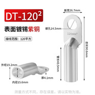 鐘性DT銅鼻子銅接頭DT10/16/25/35/50/70500平方接線端子堵油線耳鼻子 廠標(biāo)銅鍍錫DT-120（1只）