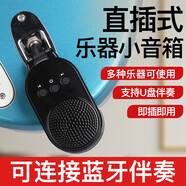 曼爾樂(lè)器直插式小音箱電吹管貝斯電吉他通用款迷你充電藍(lán)牙音箱