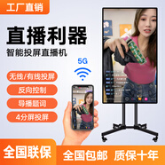 手機(jī)直播投屏顯示器大屏幕無(wú)線抖音同步互動(dòng)豎屏專用觸摸屏一體機(jī) 19+三角支架 長(zhǎng)39*寬27cm 直播投屏版（非觸摸）