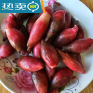 維霆安徽霍山特產(chǎn)農家泡制陽(yáng)荷姜咸菜下飯菜荷蓮花姜筍洋河姜泡菜500g 1斤裝