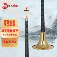 宏藝?guó)P鳴（HongYiFengMing）仿烏木D調(diào)黃碗初學(xué)練習(xí)演奏高端成人嗩吶樂器全套