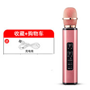 DVUJVS  藍(lán)牙手機(jī)k歌麥克風(fēng)擴(kuò)音器電視家用適用于聲卡全民唱歌家庭卡拉OK神器兒童話筒音響一體 玫瑰金 (麥克風(fēng))+16G內(nèi)存卡