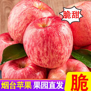 甜醉了 煙臺蘋果棲霞紅富士新鮮水果生鮮山東特產(chǎn)脆甜整箱平果禮盒禮品 3斤嘗鮮果 75mm