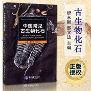 包郵 中國常見(jiàn)古生物化石探尋自然的奧秘，讓你成為古生物化石專(zhuān)家，大量精美圖片全圖書(shū)科普讀物生物Y