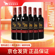 智象珍藏佳美娜干紅葡萄酒750ml*6整箱 智利原瓶進(jìn)口紅酒 送禮禮盒裝