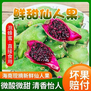 果迎鮮仙人掌果 新鮮水果 海南熱帶水果 8個(gè)裝