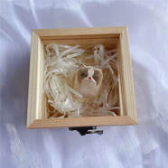 創(chuàng)意手工木雕可愛(ài)貓咪桌面擺件個(gè)性布偶貓萌寵工藝品手作日系禮品 布偶貓+木盒