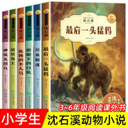 【現(xiàn)貨速發(fā)】狼王夢(mèng)沈石溪畫本全套5冊(cè)動(dòng)物小說系列 四五六七年級(jí)課外書小學(xué)生課外閱讀書籍8一12歲兒童文學(xué)書籍 青少年讀物沈石溪的書全集 沈石溪精讀酷玩系列（全6冊(cè)）