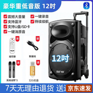 先科（SAST）廣場(chǎng)舞音響專(zhuān)業(yè)戶(hù)外k歌音箱帶話(huà)筒家用拉桿藍(lán)牙手拉麥克風(fēng) 12吋+雙話(huà)筒+U盤(pán)