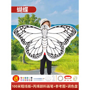 金魚風(fēng)箏材料包手工自制作diy空白色可涂色繪畫彩繪老鷹飛機(jī)兒童 竹子蝴蝶升級(jí)款(100米線板+12色顏料筆盤）