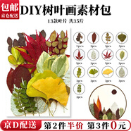 東之天地 干花壓花樹(shù)葉植物標本DIY流蘇書(shū)簽幼兒園親子手工貼畫(huà)滴膠樹(shù)葉畫(huà) DIY樹(shù)葉畫(huà)【隨機13款花材一包】