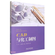 CAD與化工制圖