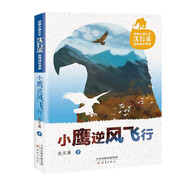 小鷹逆風(fēng)飛行