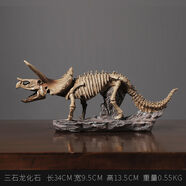 榮弘發(fā)仿真恐龍化石復古古生物標本桌面小擺件家居辦公室客廳電視柜飾品 三角龍化石【仿真】