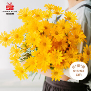 愛已裝糖多頭小雛菊仿真花假花花束塑料花室內(nèi)裝飾擺設(shè)花瓶插花 5支黃色