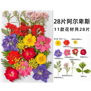 佳茉透明干花書簽手工diy材料包標(biāo)本pvc塑封膜創(chuàng)意植物樹葉壓花瓶子吊瓶小學(xué)生壓花瓣玻璃畢業(yè)季送同學(xué)
