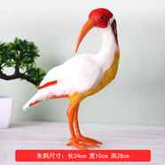 仿真動(dòng)物標本黃鸝鳥(niǎo)伯勞小鳥(niǎo)擺件喜鵲杜鵑真羽毛鳥(niǎo)類(lèi)裝飾工藝品 紅色朱鹮28*24cm