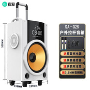 索愛(ài) Q22 無(wú)線(xiàn)藍牙音箱手提戶(hù)外大音量廣場(chǎng)舞3d環(huán)繞音響插卡播放器收音機鬧鐘提便攜式地攤擺攤喇叭 SA-Q26豪華版白色-12英寸雙麥 索愛(ài)SOAIY