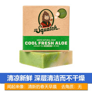 AB風(fēng)靡海外 無化學(xué)添加 DrSquatch進(jìn)口天然純手工沐浴男去J質(zhì)香皂 涼爽蘆薈