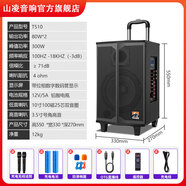山凌廣場(chǎng)舞音箱無(wú)線(xiàn)藍牙K歌唱歌跳舞直播拉桿充電公園吉他彈唱街頭演出T508/T510/T512/T515戶(hù)外音響 T510拉桿款（10寸低音）