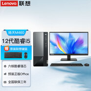 聯(lián)想M460電腦臺(tái)式機(jī) 全新12代酷睿六核i5處理器 可選獨(dú)顯設(shè)計(jì)游戲家用稅控商用辦公電腦整機(jī) 主機(jī)+21.5英寸全高清屏 六核i5-12400 8G 1T+512G硬盤(pán)