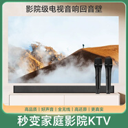 允夢(mèng)者電視K歌無(wú)線(xiàn)藍牙麥克風(fēng)唱歌設備套裝小mi盒子投影儀ktv話(huà)筒 家用 標準版+2個(gè)麥