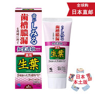 Mama&Kids【日本直郵 JD快遞】小林牙膏生葉 齒槽膿漏預(yù)防牙周病去口臭 小林制藥齒槽膿漏牙齒敏感用100g