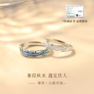 DR  GRAFFCARNY情人節(jié)禮物蒹葭S999足銀情侶款戒指女生小眾對(duì)戒男一對(duì)生日送女友 蒹葭秋水 遇見佳人(此為介紹