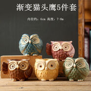 潤(rùn)華年2023可愛動(dòng)物卡通多肉陶瓷肉肉植物花盆簡(jiǎn)約小盆批發(fā) 漸變貓頭鷹5件套
