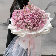 艾斯維娜鮮花速遞滿(mǎn)天星玫瑰花束送女友生日禮物全國(guó)同城配送 粉色滿(mǎn)天星款式