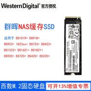 西部數(shù)據(jù)群暉NAS讀寫緩存 M.2 NVMe SSD DS920+ DS923+ 1821+1621+2419+432+720+威聯(lián)通極空間 256G