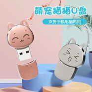 SSF 卡通金屬U盤個(gè)性創(chuàng)意優(yōu)盤可愛(ài)卡通Typec手機(jī)兩用u盤造型簡(jiǎn)約防水外觀支持刻字來(lái)圖定制U盤 貓臉U盤-發(fā)銀色請(qǐng)備注 128G-粉色