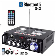 Starklok迷你小型功放機音箱功率放大 插卡U盤(pán)收音直流車(chē)載(12伏220V)功放