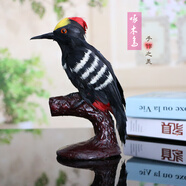 仿真動(dòng)物標本黃鸝鳥(niǎo)伯勞小鳥(niǎo)擺件喜鵲杜鵑真羽毛鳥(niǎo)類(lèi)裝飾工藝品 啄木鳥(niǎo)(19*13cm)