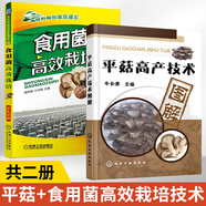 平菇高產(chǎn)技術(shù)圖解+食用菌高效栽培 全2冊食用菌菌種生產(chǎn)技術(shù)平菇實(shí)用栽培技術(shù)集錦平菇精準(zhǔn)栽培技高產(chǎn)量種植菌菇食品規(guī)?；a(chǎn)書