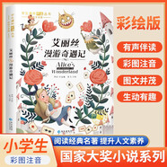 【全系列自選】國際大獎兒童文學(xué)獲獎小說(shuō)注音版  一二三年級課外閱讀必讀書(shū)籍7-10歲中外名著(zhù) 國際獲獎小說(shuō)學(xué)生課外必讀叢書(shū) 尼爾斯騎鵝旅行記柳林風(fēng)聲海底兩萬(wàn)里昆蟲(chóng)記綠野仙蹤綠山墻的安妮吹牛大王歷險記 